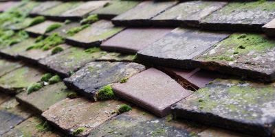 Colmworth roof repair costs